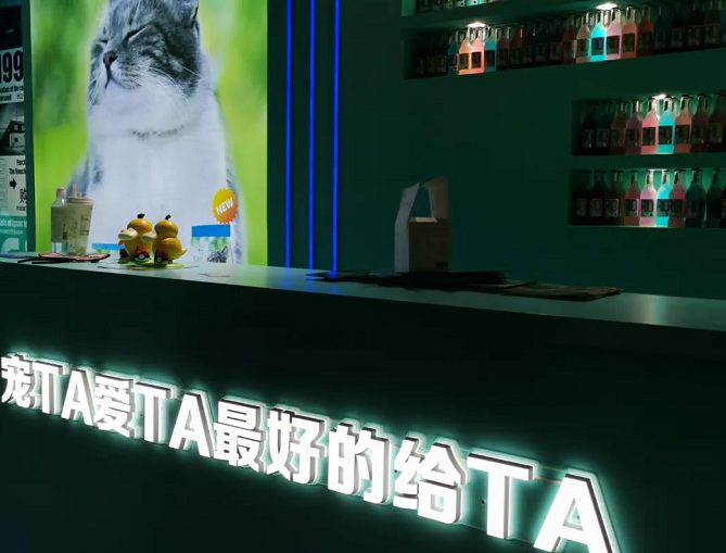 寵物展沉浸式互動體驗 驚喜感滿滿 寵物展沉浸式互動體驗 驚喜感滿滿